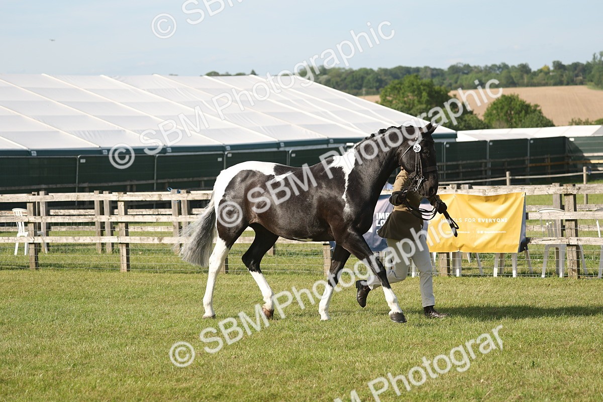 SBM_10424 - Class 33-38 - SSADL RIHS Qualifiers