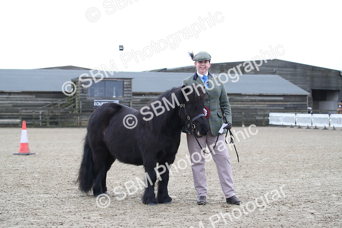 SBM_003897 - Class 1-4 - Young Stock classes Inc. In Hand Championship