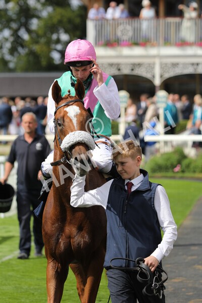 yr17082022r2-57 - Race 2 2.25pm Tattersalls Acomb Stakes