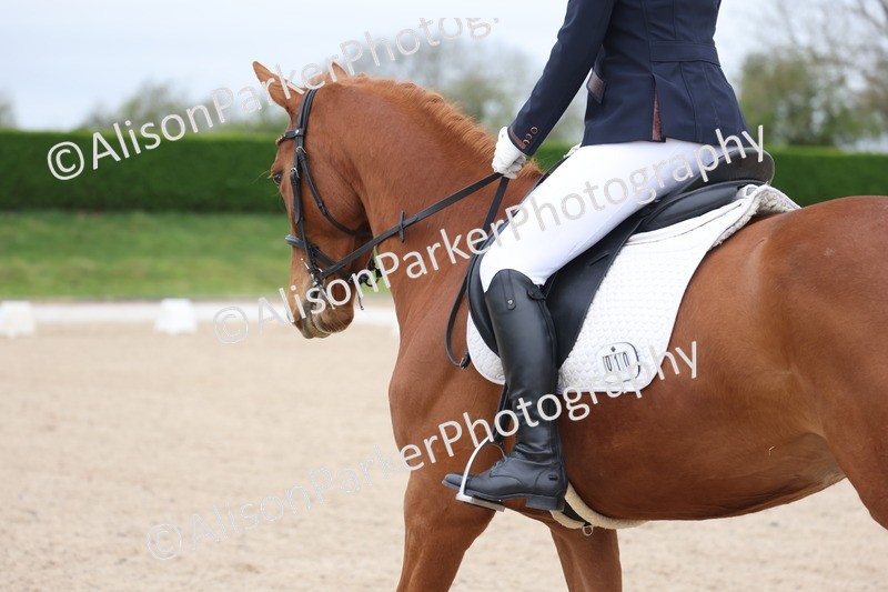 20260404-0130 - Class 2 - Intro 4