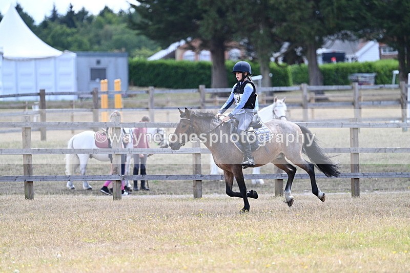 WJ7_0899 - 60cm Time 12:26 to 12:46