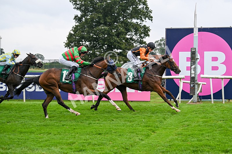 070924-Race 2-Cymbidium-7171 - Race 2