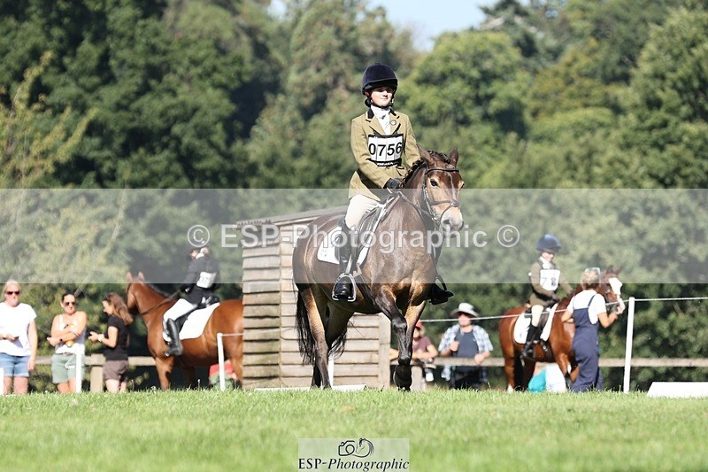 250823A-103214-27722 - Arena D