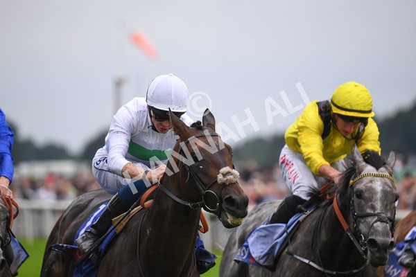 yr21082021r2-21 - Race 2 2.25pm Sky Bet Melrose Stakes