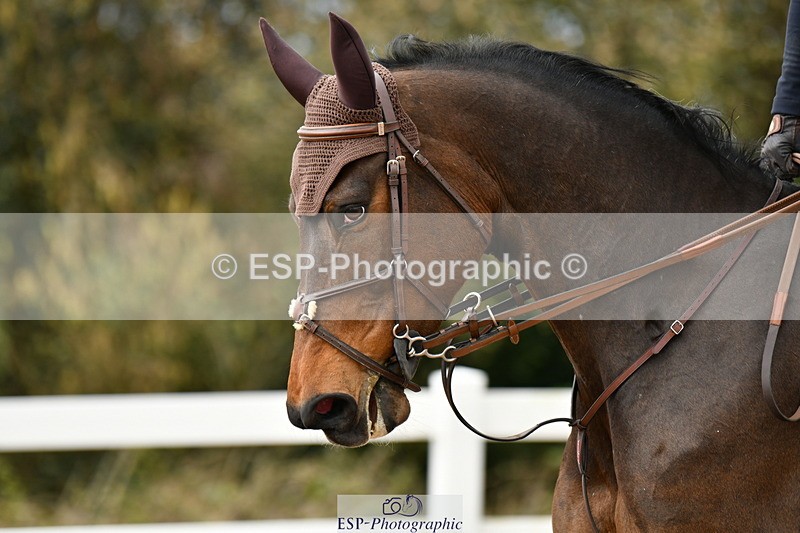 240317A-120614-06145 - Cls 32 95cm National Amateur Quali