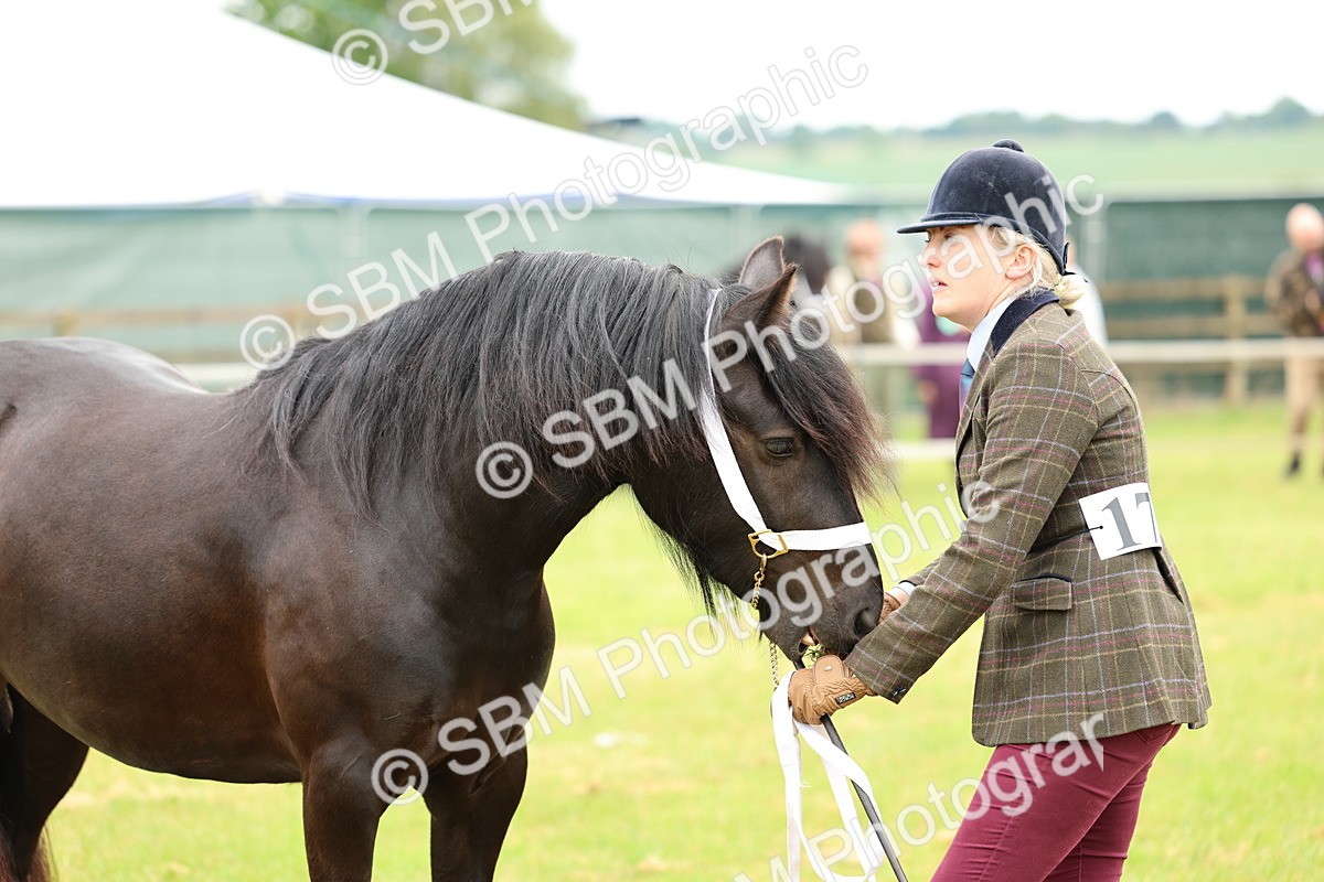 SBM_00424 - Class 58-67 - M&M Non Welsh Pony In hand