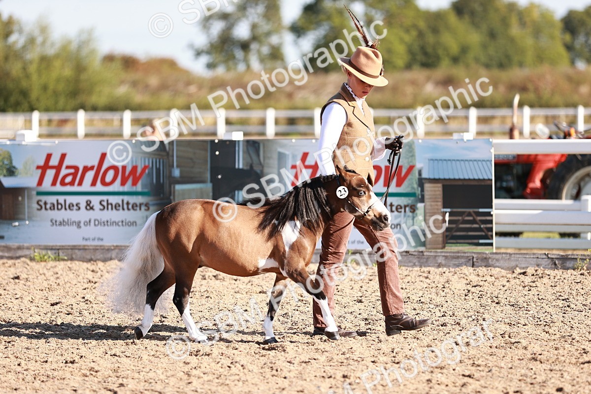SBM_11451 - Class 402 - IH  Veteran pony