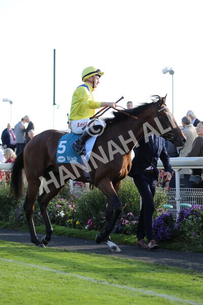 yr08102022r5-22 - Race 5 3.50pm The Coral Committed To Safer Gambling EBFStallions.com Maiden Stakes