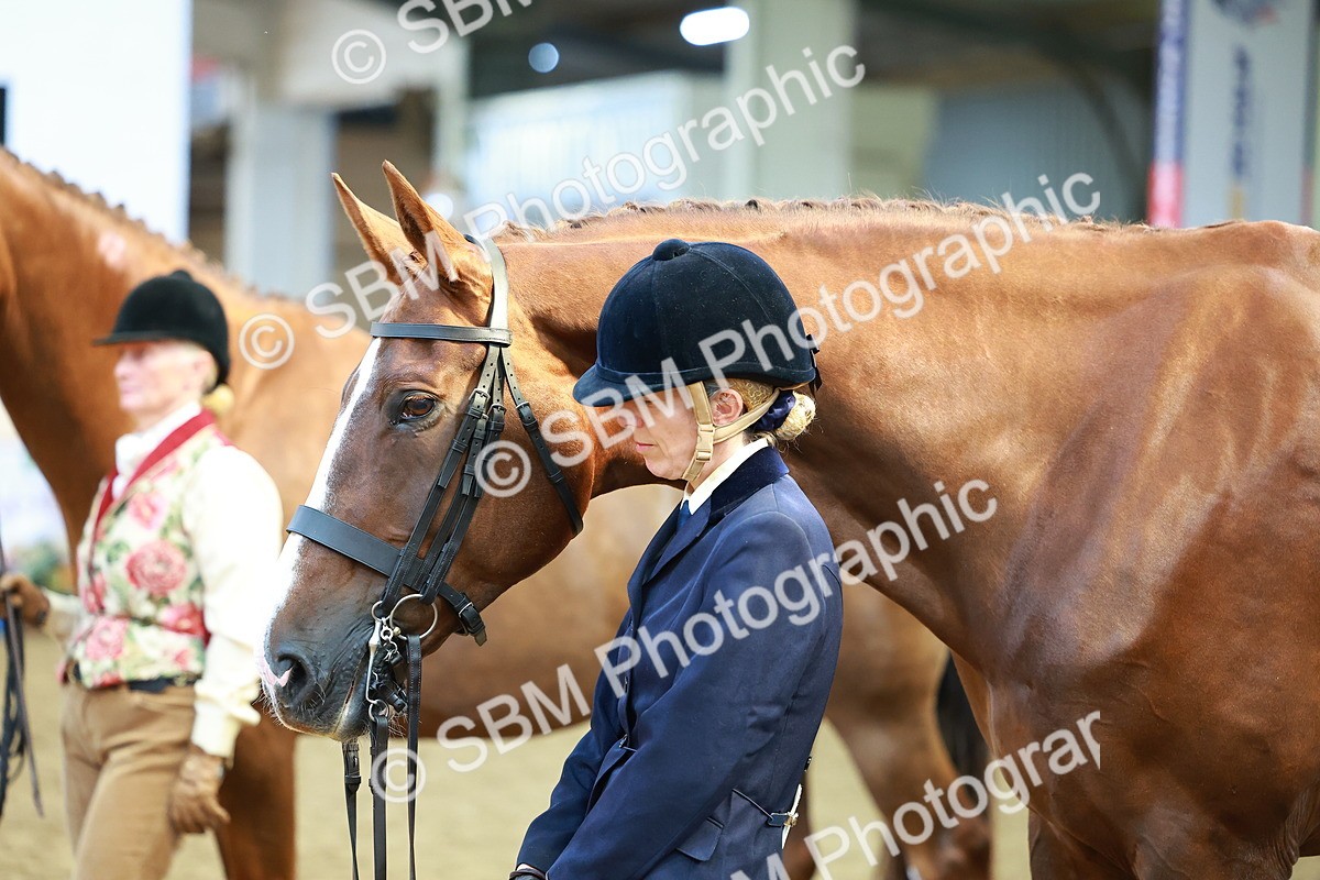 SBM_18509 - Class 903 - Sup Final - IH Pre Vet