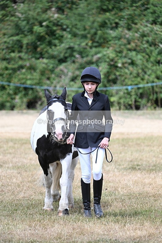 WJ7_1696 - Class 4 Prettiest Mare up to 14.2hh in hand