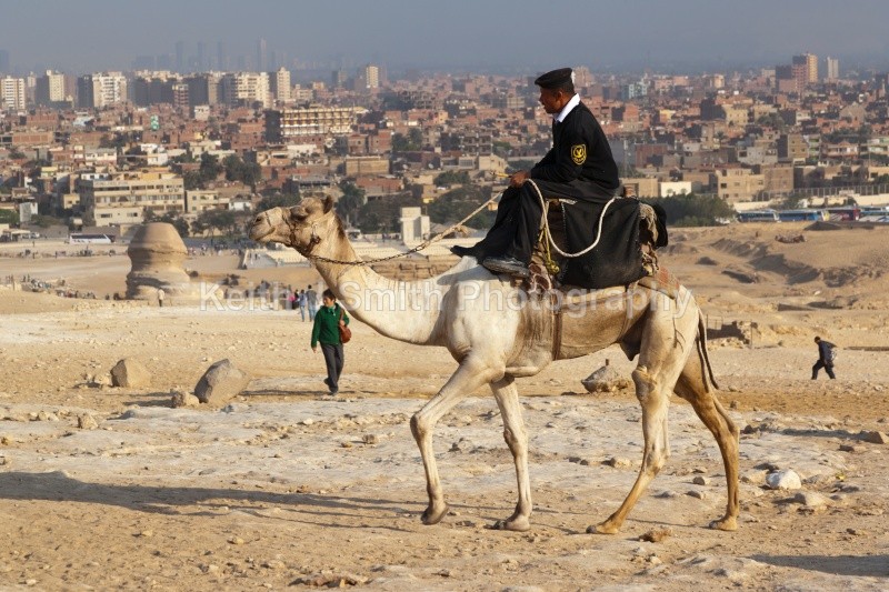 YR6M7855 (RM) - Worldwide