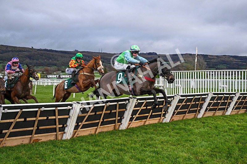 121225-Race 3-Continuance-5030 - Race 3