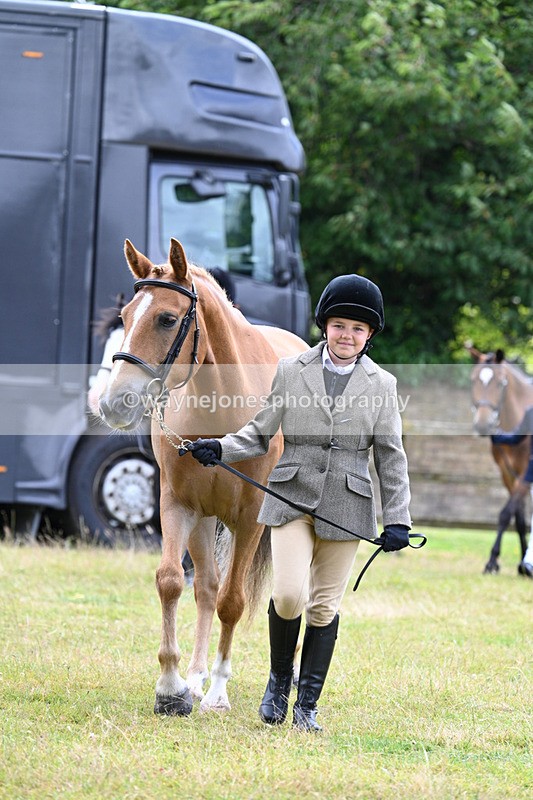 WJ7_6473 - Class 5 Handsome Gelding in hand