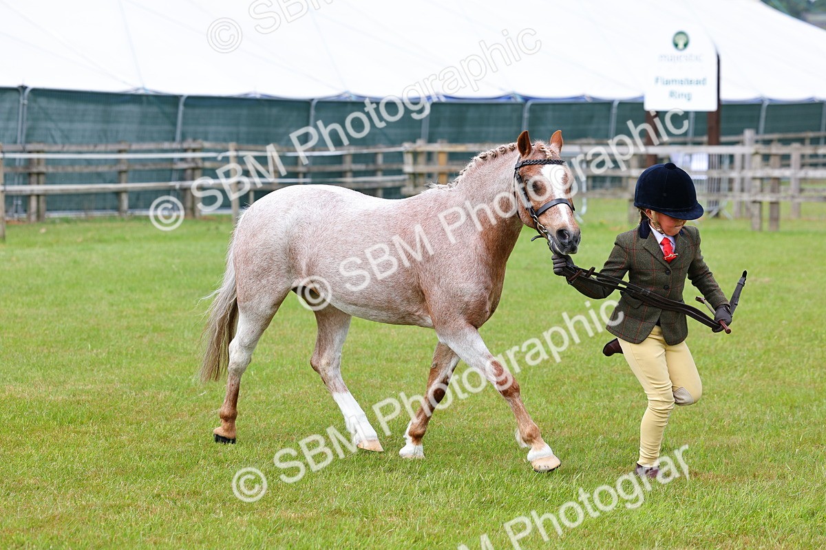 SBM_09443 - Class 44-45 - LIHS BSPS Open Nursery and Cradle Stakes