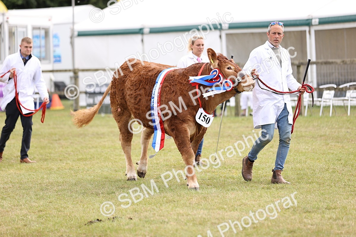 SBM_16910 - Grand Parade