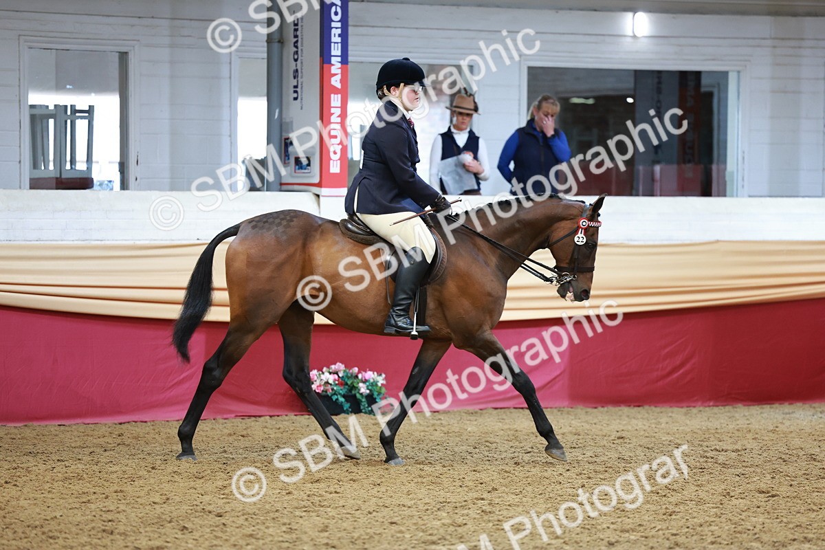 SBM_14952 - Class 108 - Ridden Retired Racehorse