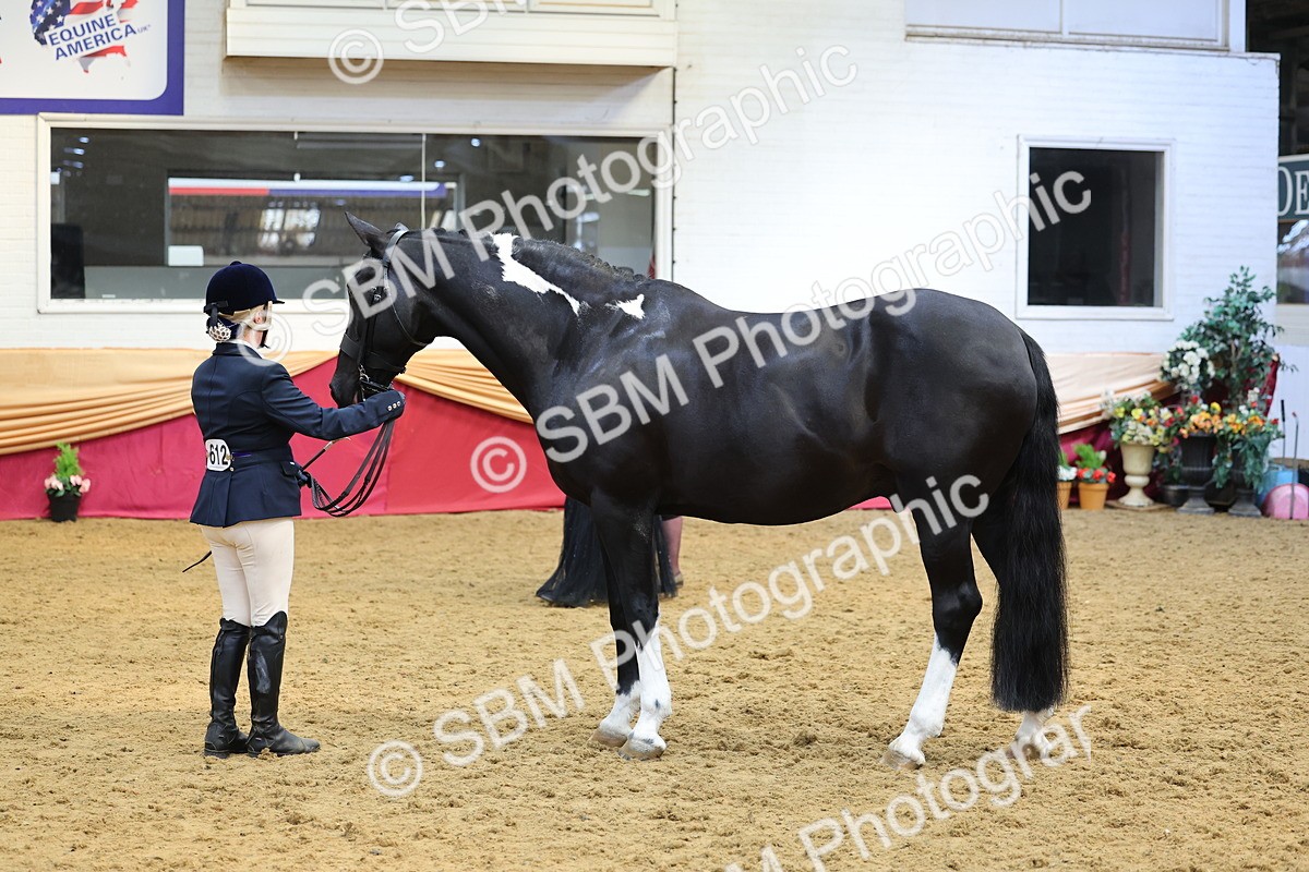 SBM_22731 - Class 903 - Supreme Final - IH Pre Vet