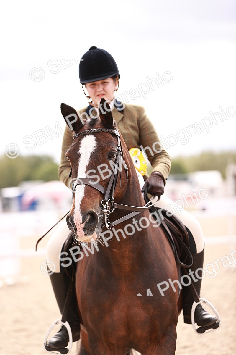 SBM_18269 - Class 416 - Prettiest Mare (IH or Ridden)Jnr