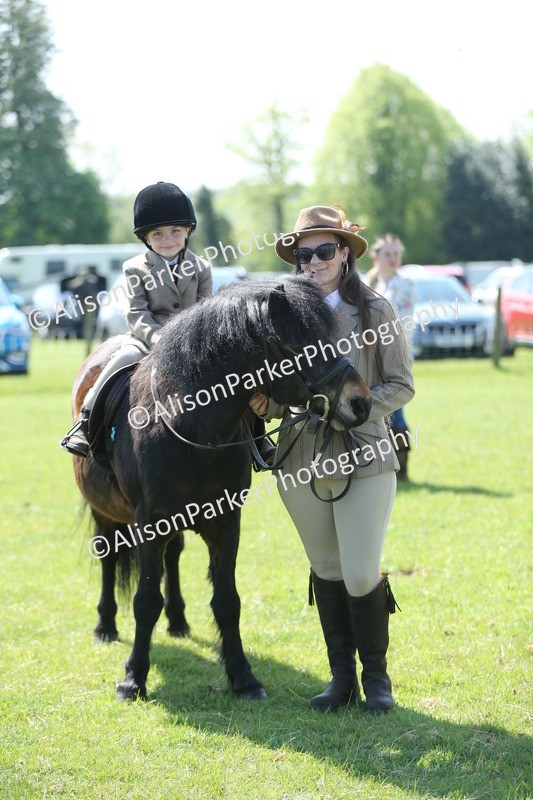 20250427-2685 - Class 6 - Pony Judge Would Most Like To Take Home