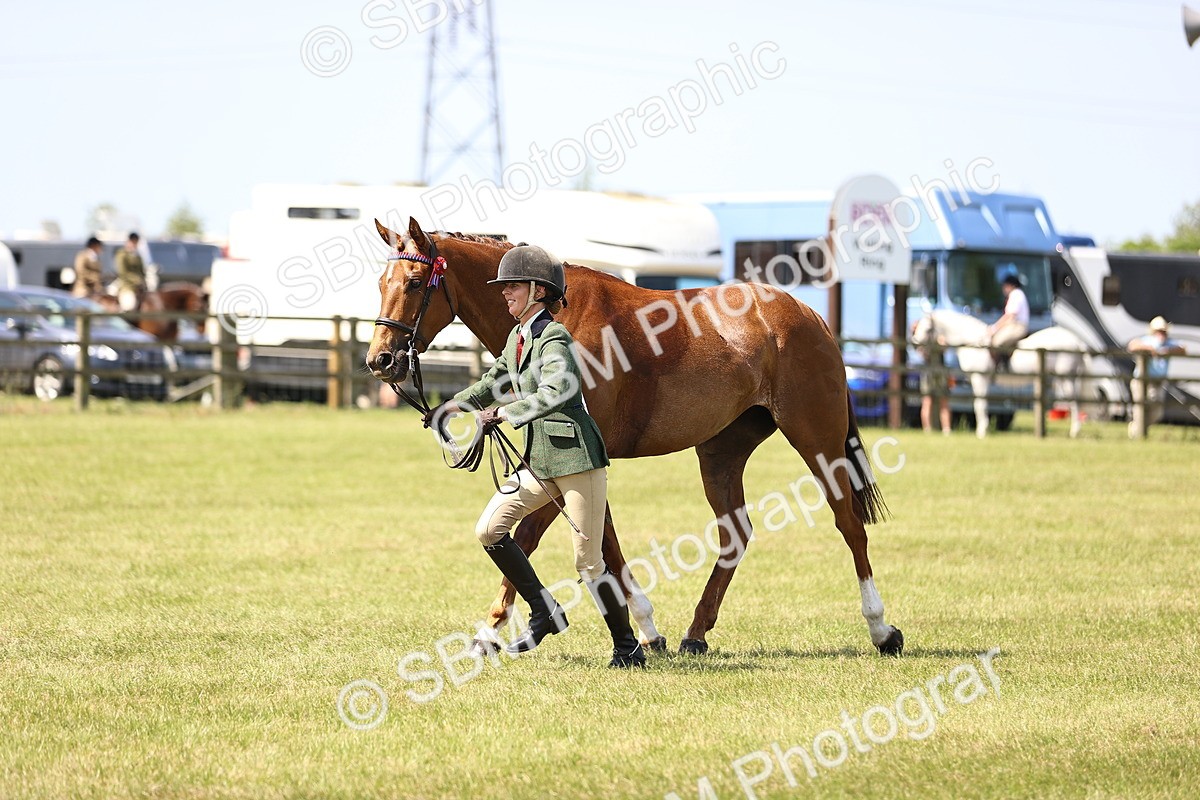 SBM_14961 - Class 78 - LIHS BSHA Open Racehorse & Show Horse