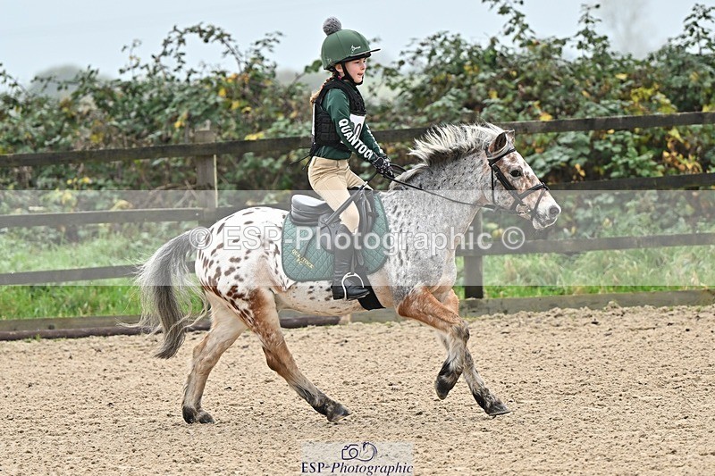 241110-095716-00134 - 40cm Showjumping