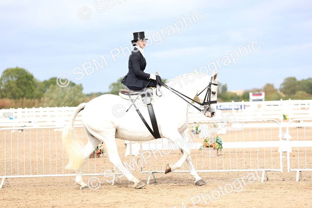 SBM_03414 - Class 24 - SSA Concours d'elegance (any age)