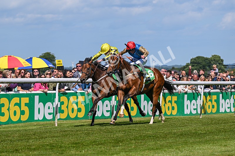 080624-Race 3-Shareholder-1023 - Race 3