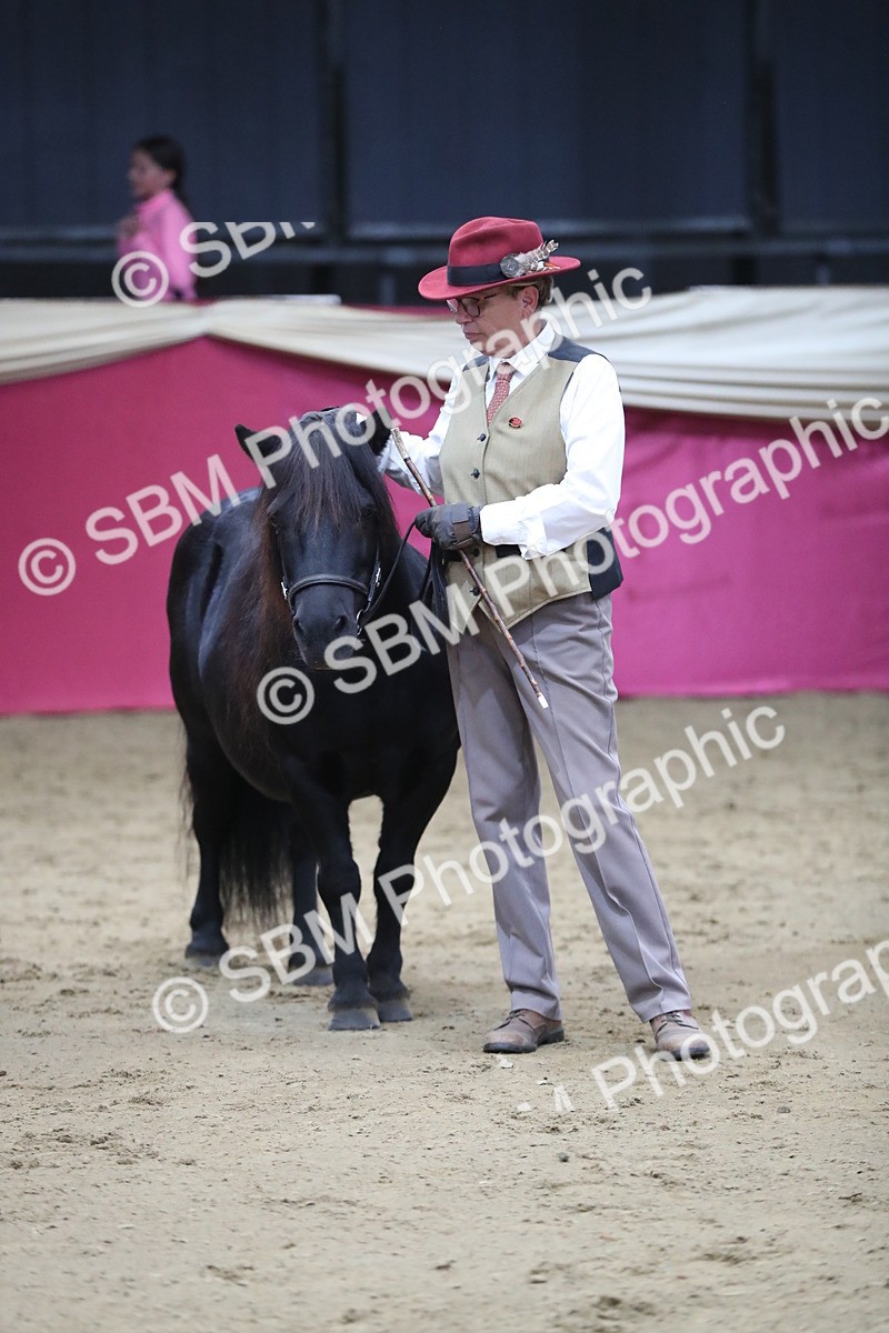 SBM_06389 - Class 9R Regional- IH Pre Vet