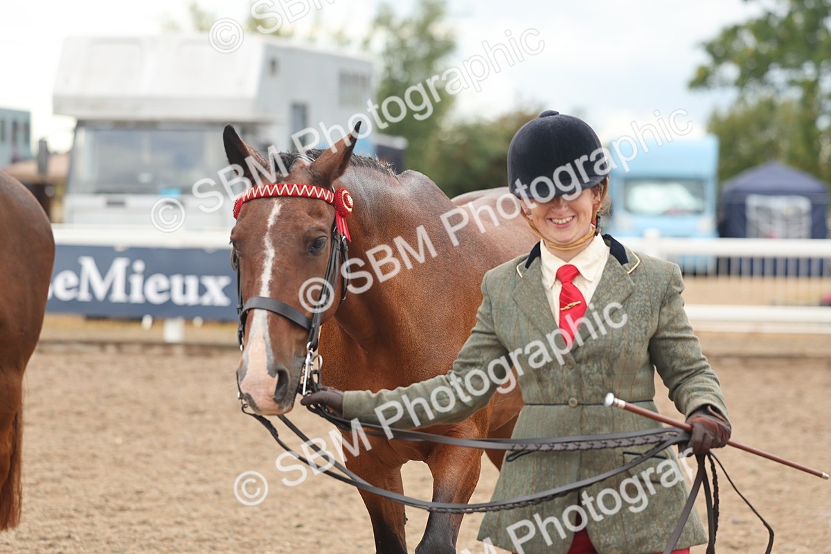 SBM_07802 - Class 27 - IH Competition Horse/Pony