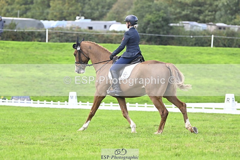 251023A-151606-04561 - E-387-Vittoria.Panizzon