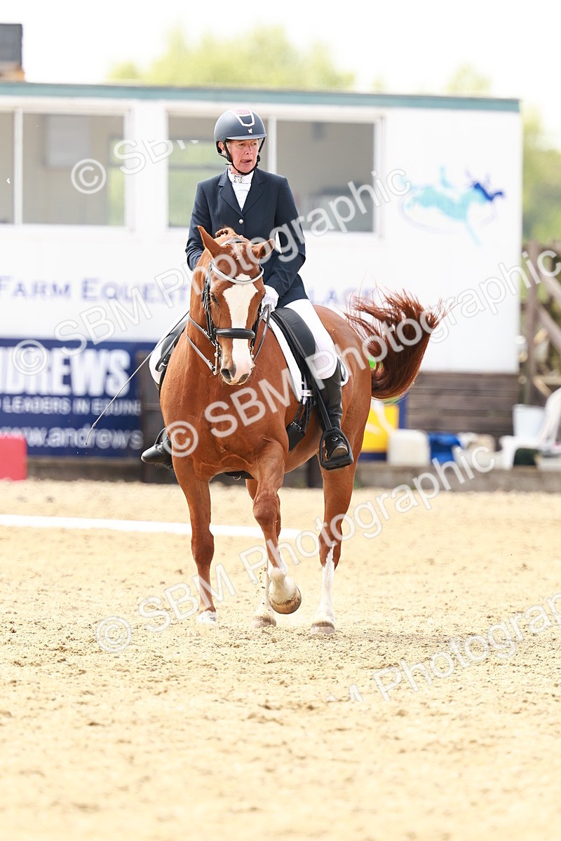 SBM_002875 - Class 12 - Medium 4