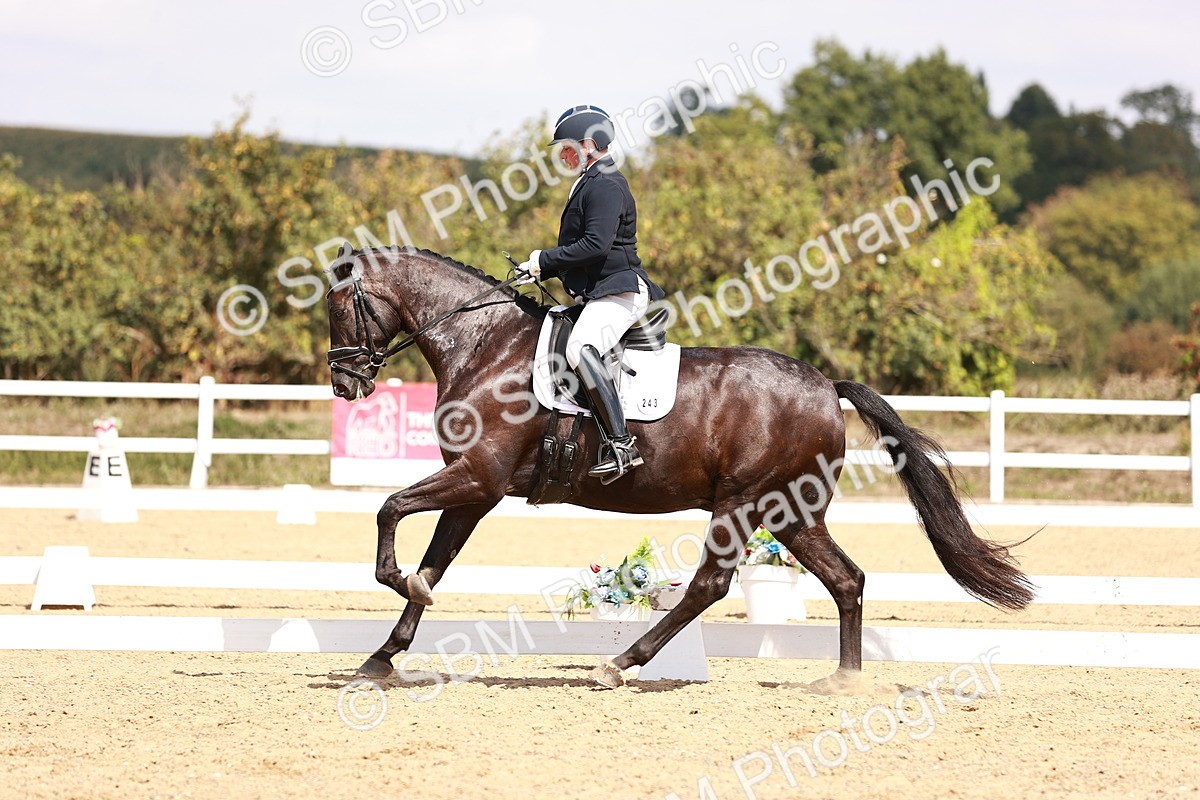 SBM_018545 - Class 17 - Novice 6