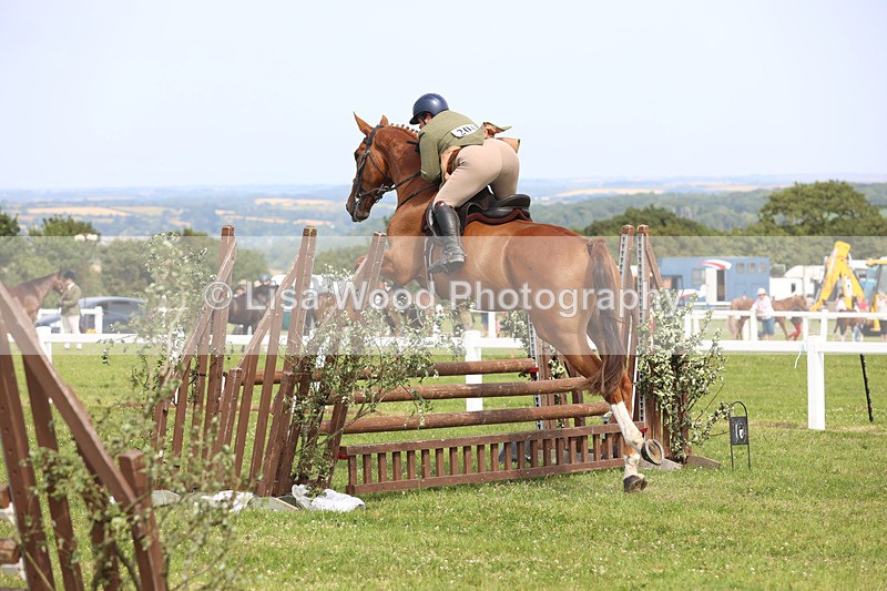 JPP_3755 - Class 23: Working Hunter 80cm