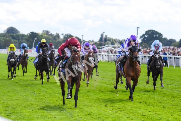 260823-Race 2-Middle Earth-0333 - Race 2 Sky Bet Melrose Handicap