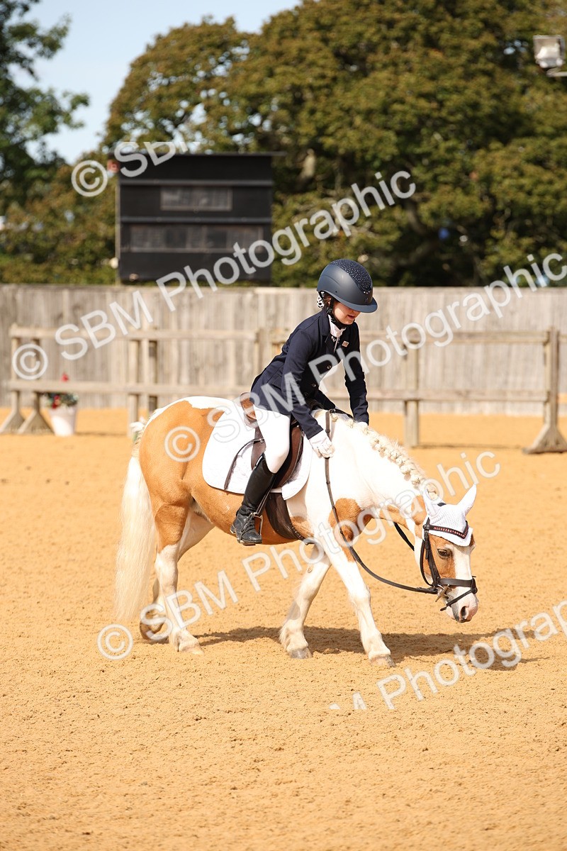 SBM_21812 - D5 - Small Tour Championship - Intro C
