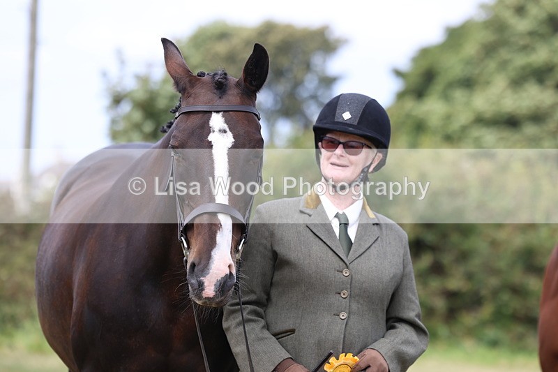 3E7A5600 - Class 20: Sports Horse In Hand