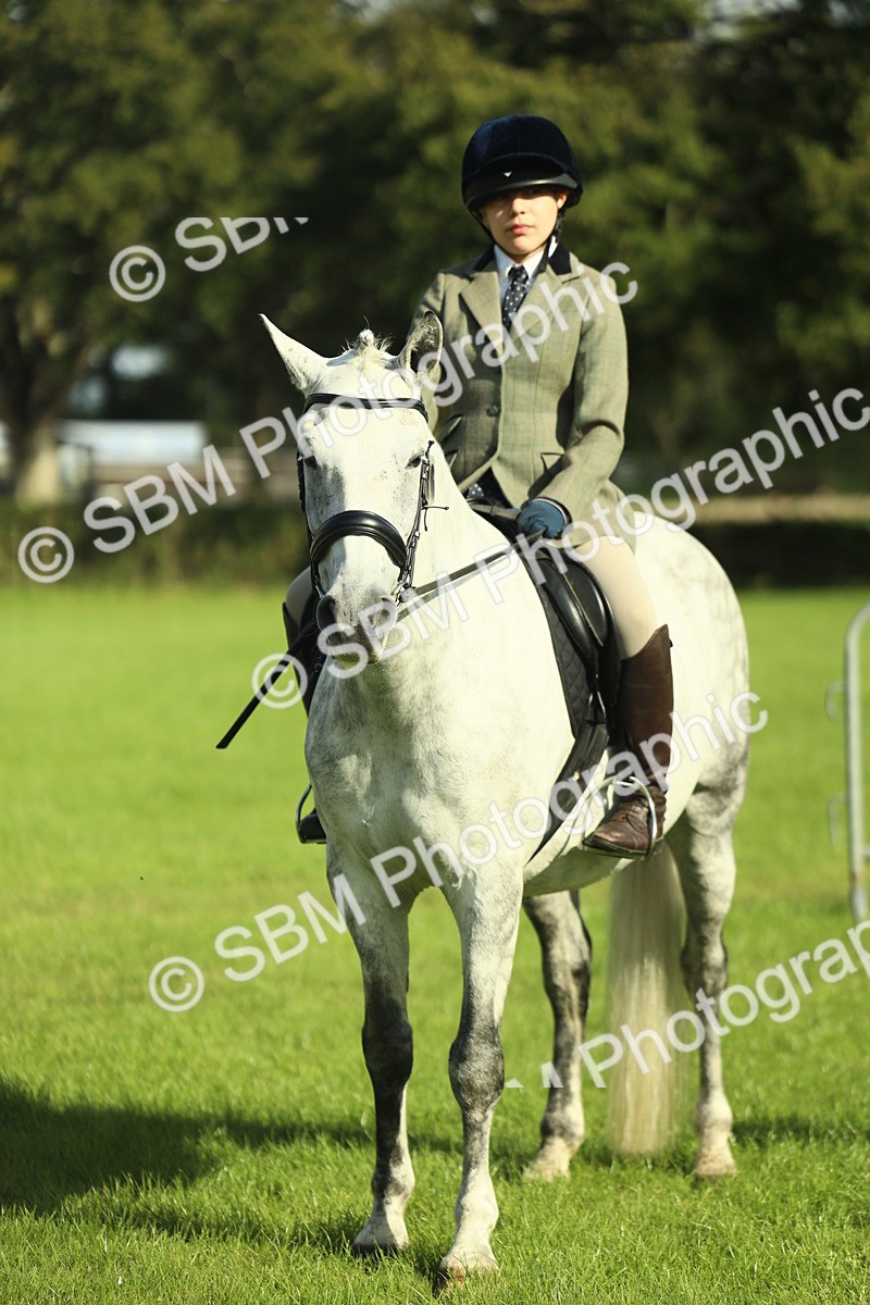 SBM_49827 - S32 - Novice & Newcomers Working Hunter