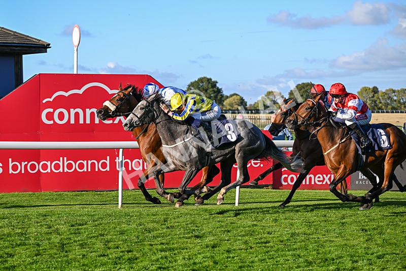 230925-Race 7-Hill O Rue-2477 - Race 7