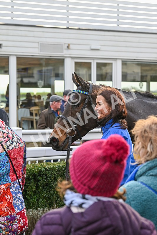 020224-Race 5-Shighness-8679 - Race 5