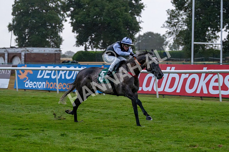 150725-Race 8-Good Karma-7679 - Race 8