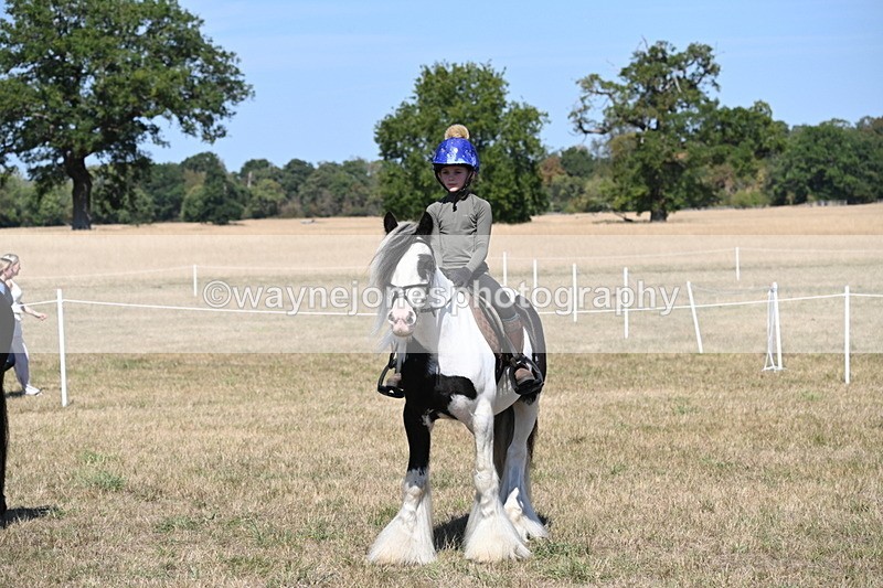 WJ6_9019 - Class 38 Ridden Riding Horse/Pony
