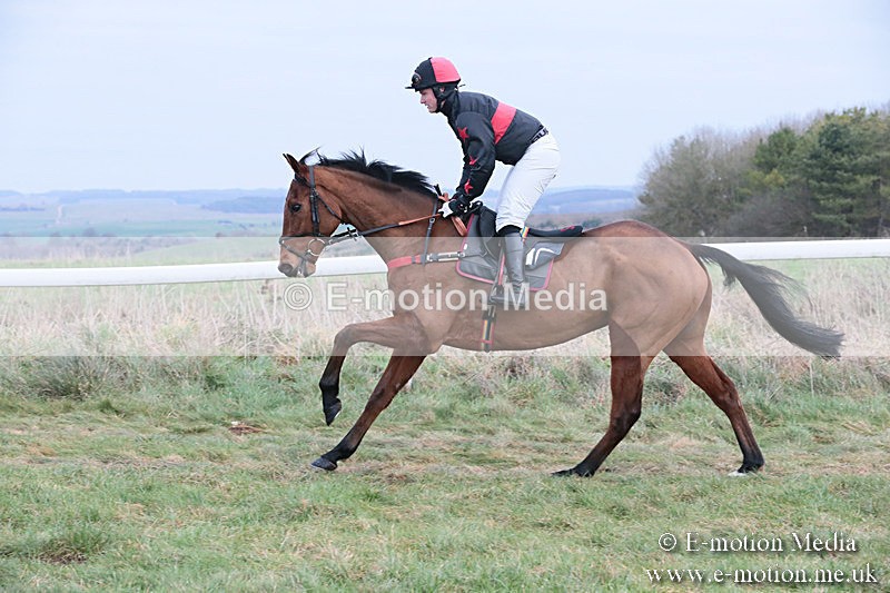 PtP 060119 191 - Larkhill Racing Club - Point-to-Point- 06/01/2019