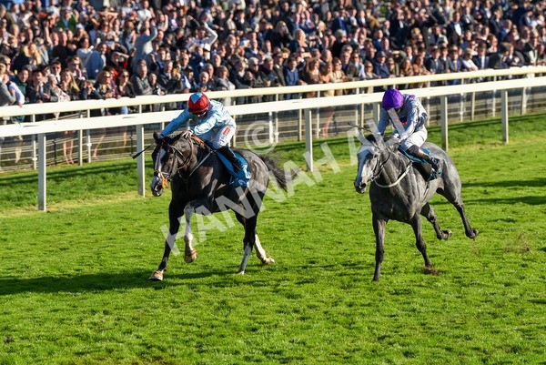 141023-Race 6-Punctuation-1499 - Race 6 4.10pm Coral Get Closer To The Action Handicap