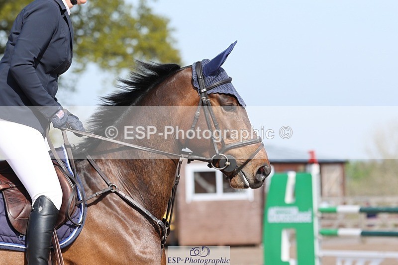 250427-101517-15263 - Cls 32 Young Horse 6yr old