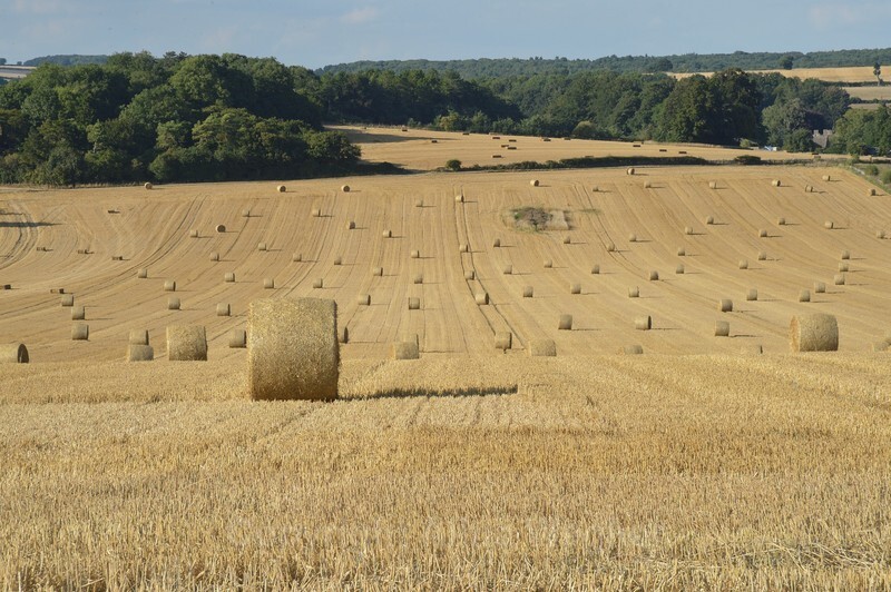 Harvest - Landscapes