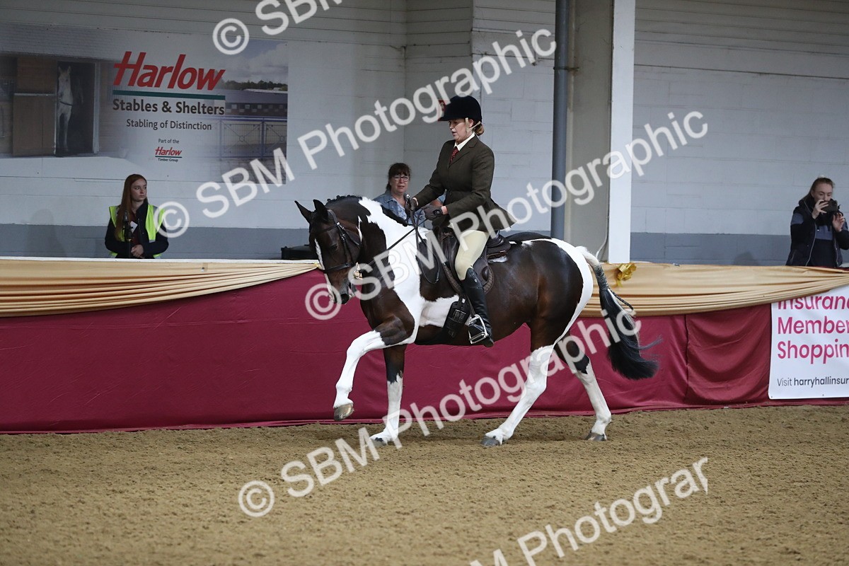 SBM_10423 - Class 102 Equitation (best rider) Adult