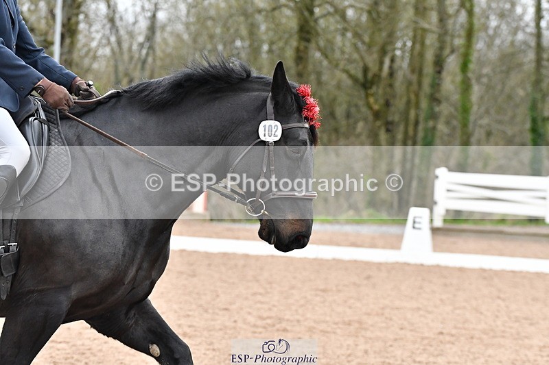 231217A-123443-01022 - Unaffiliated Classes