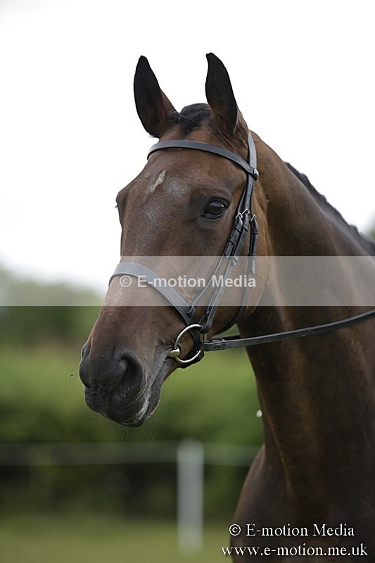 BVR160717-2132 - Ridden Championship 16/07/17