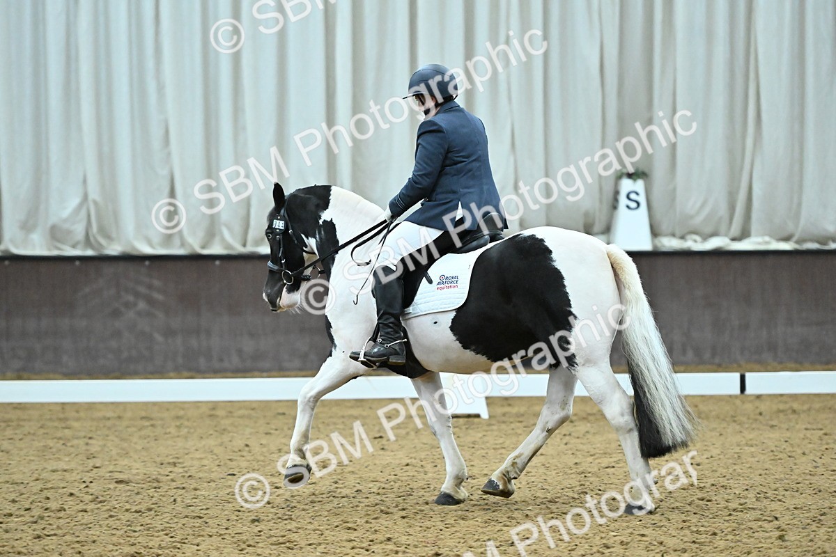 SBM_007413 - Class 81 - Novice 3