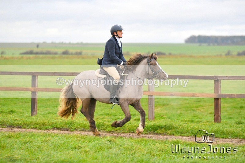 WJ5_5047 - Edited examples